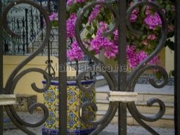 Mula Antigua serie-2